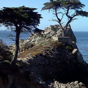 Meet your Posher, Socorro